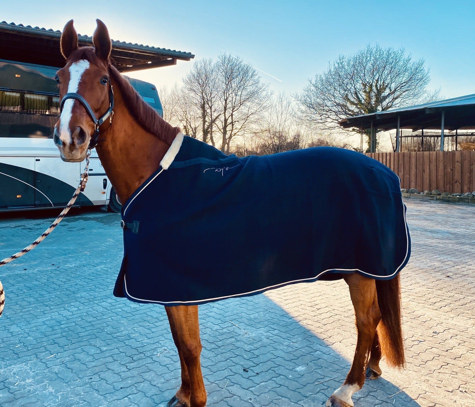 Abschwitzdecken JR Equestrian Boutique