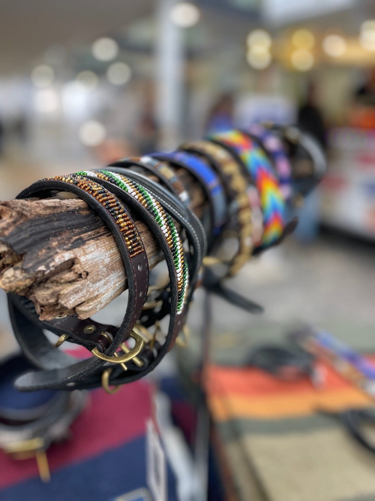 Halsbänder JR Equestrian Boutique