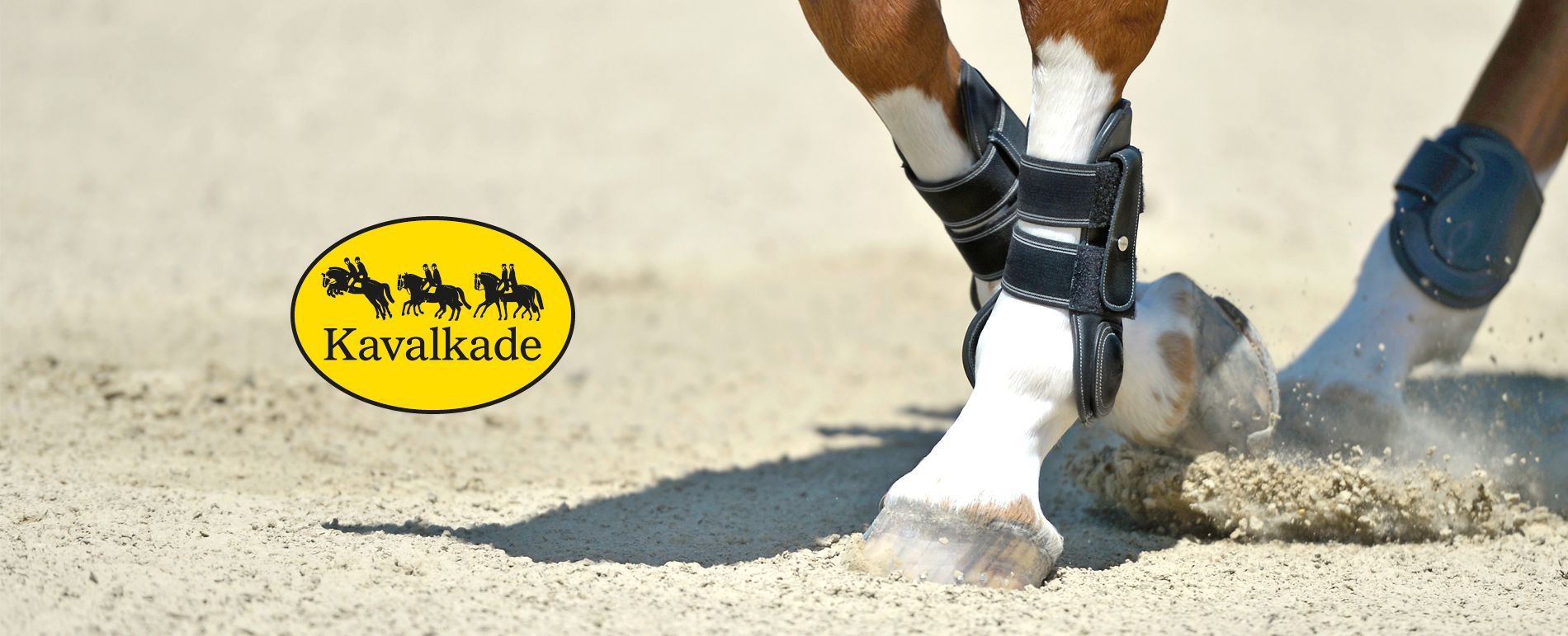Kavalkade JR Equestrian Boutique