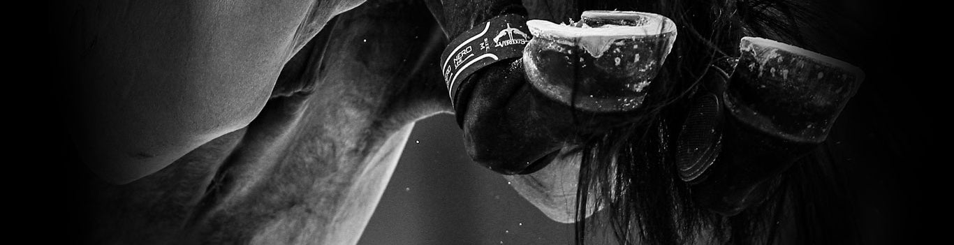 Streichkappen JR Equestrian Boutique