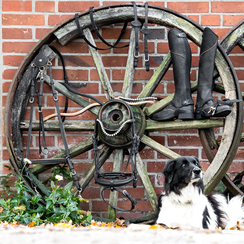 Vegane Sporenriemen "Cortica" aus Kork