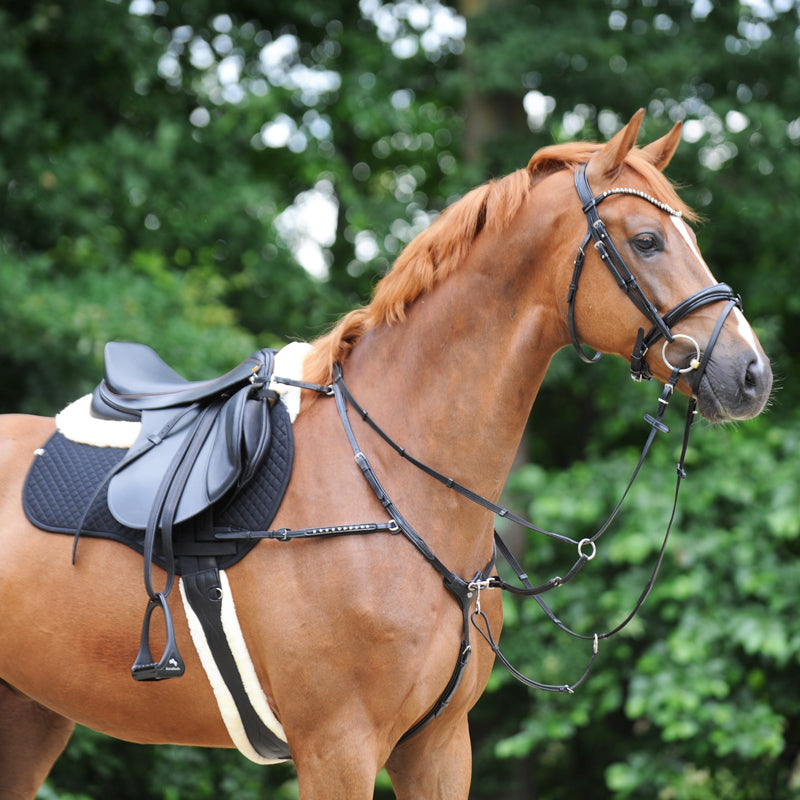 Langgurt geöltes Leder "Comfort"-Kunstfell-Elast