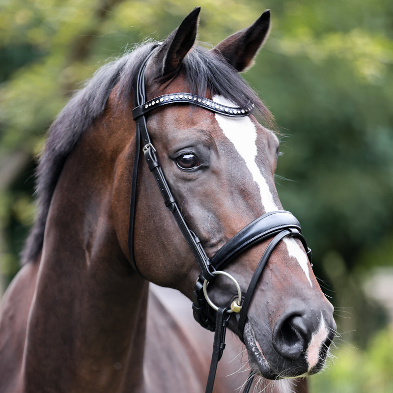 Trense "Mia" schwed.-komb.