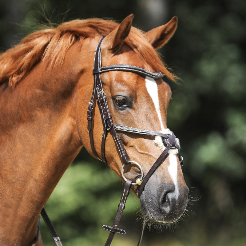 Trense "Diandro" mex.