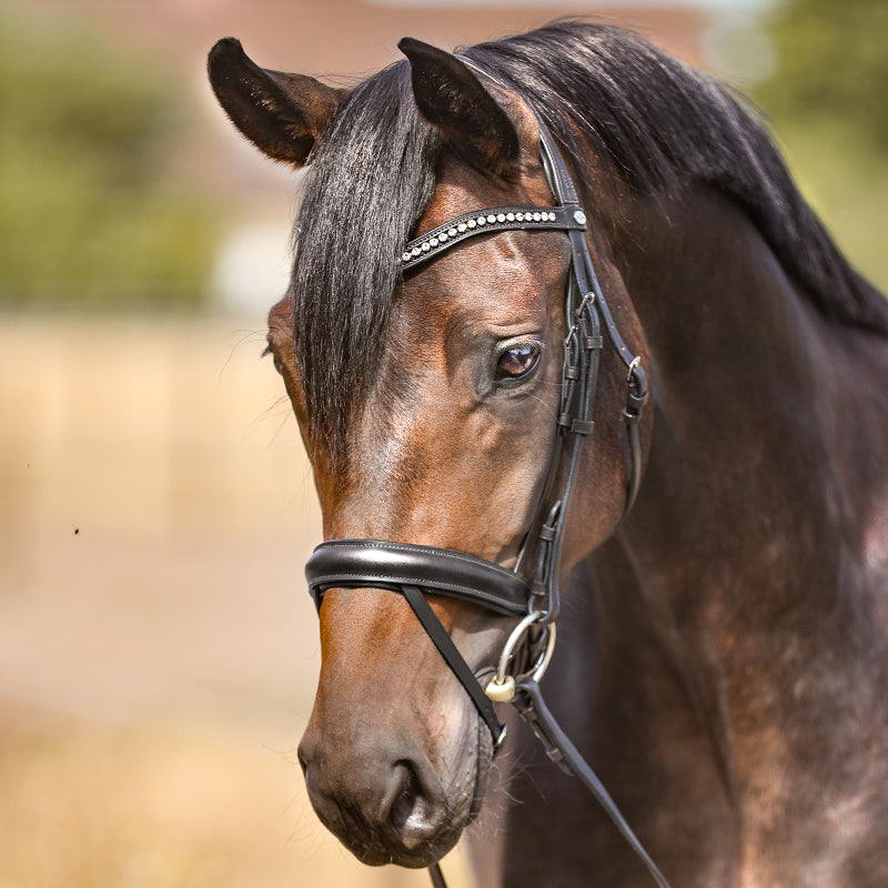 Trense "Diana" eng.-komb.