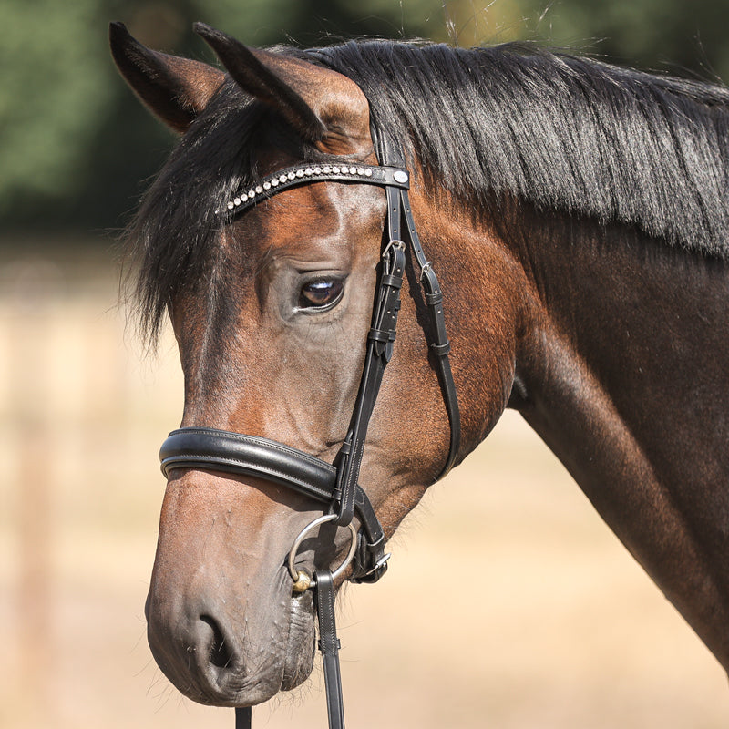 Trense "Diana" eng.-komb.