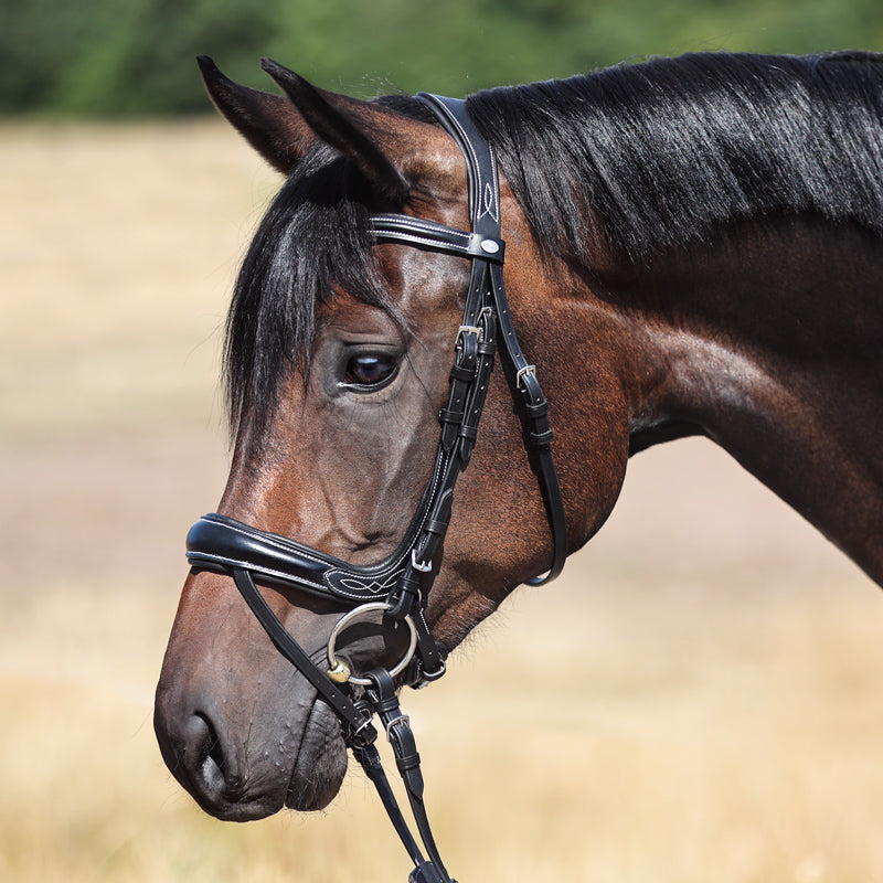 Trense "Ivy Plus" eng.-komb.