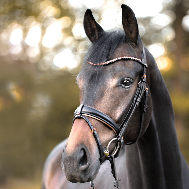 Trense "Rose" schwed.-komb.