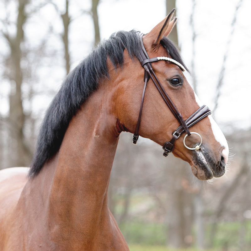 Trense "Florina" schwed.-komb.-rundgenäht