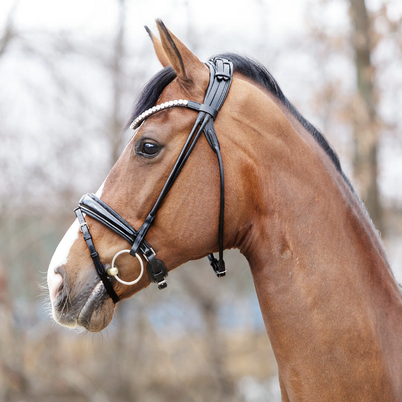 Trense "Florina" schwed.-komb.-rundgenäht