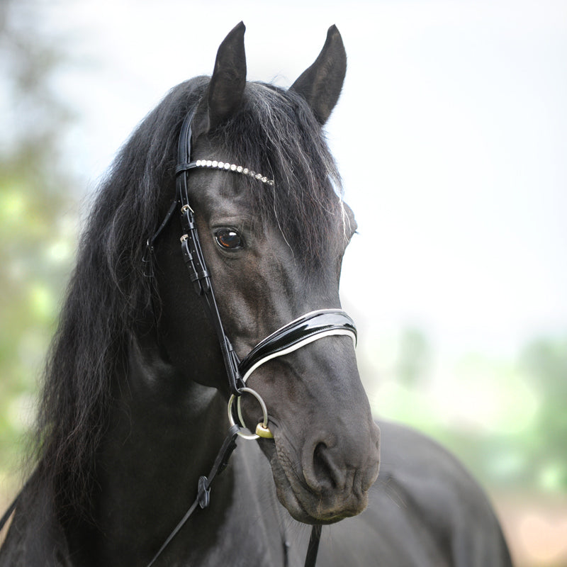 Trense "Juliana" eng.-komb.