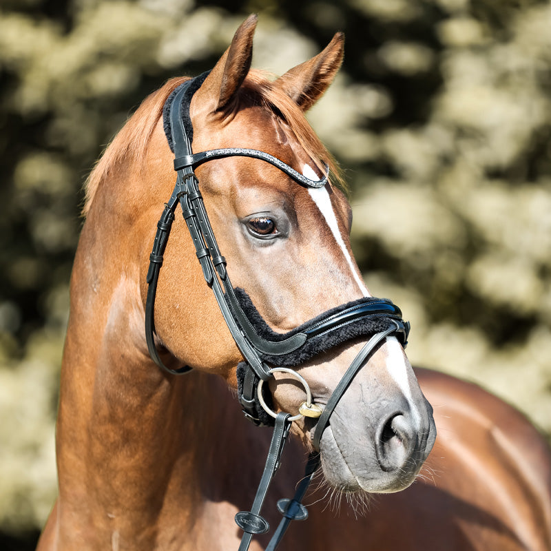 Trense "Ivella" eng.-komb.