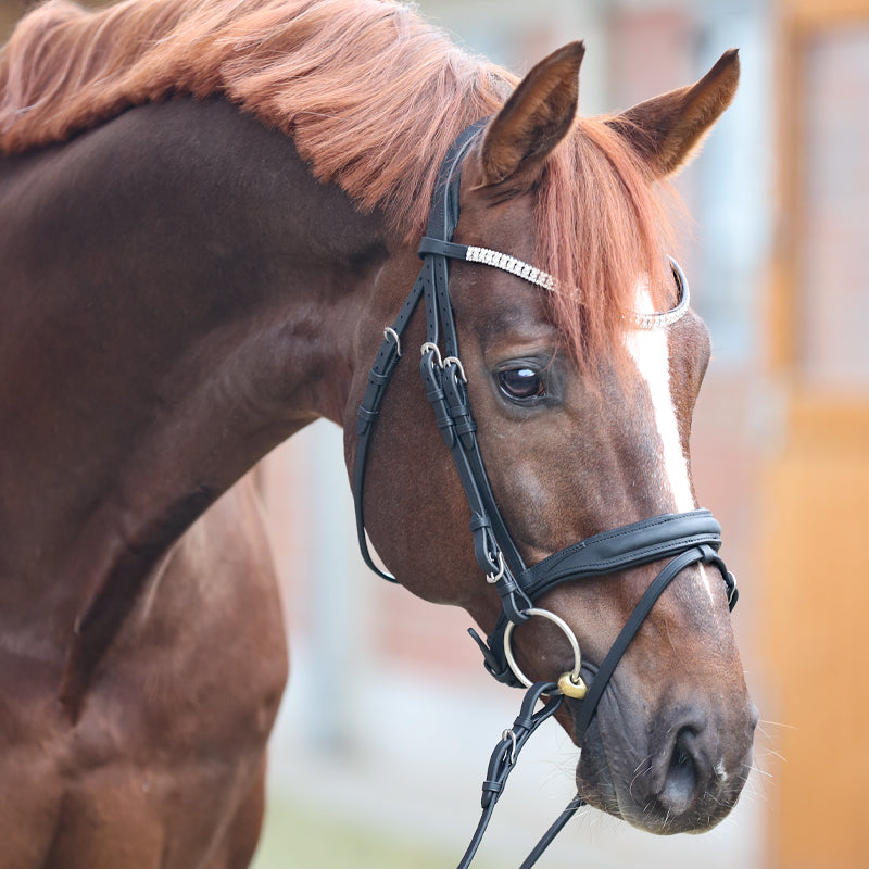 Trense geöltes Leder "Everness" eng.-komb.