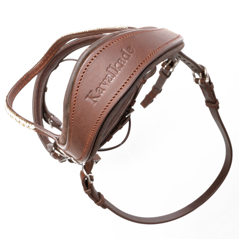 Trense geöltes Leder "Everlyn" schwed.-komb.