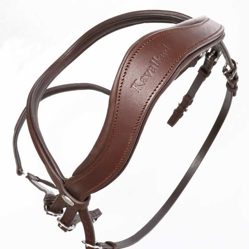 Trense geöltes Leder "Everana" hann.