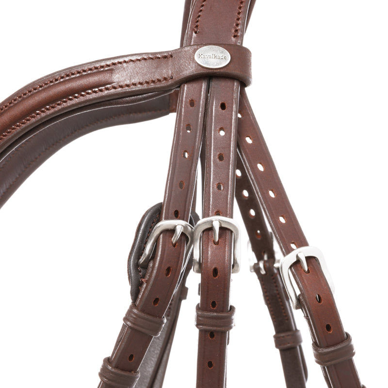 Trense geöltes Leder "Everana" hann.