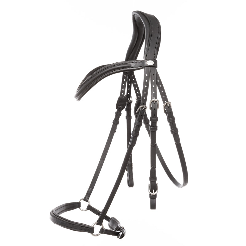 Trense geöltes Leder "Everana" hann.