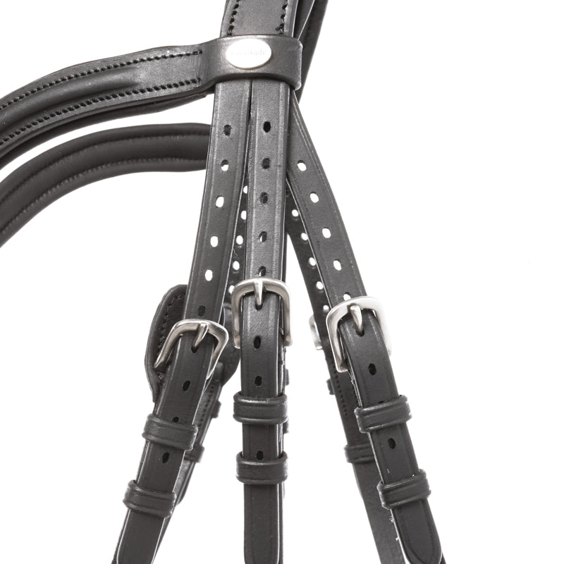 Trense geöltes Leder "Everana" hann.