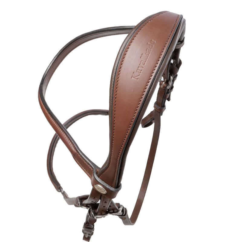 Trense "Proline-Anna" hann.