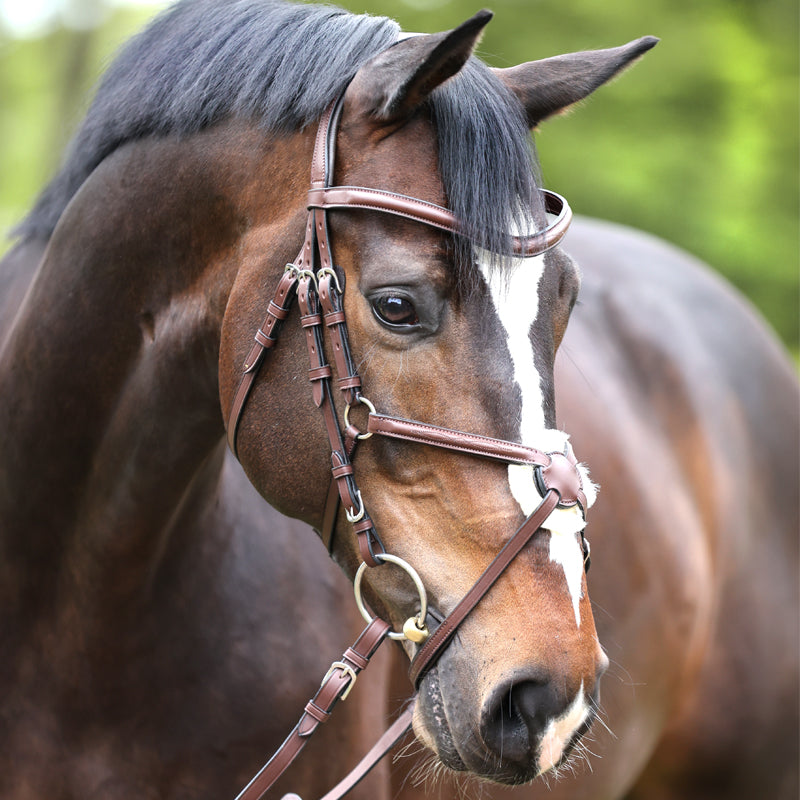 Trense "Proline-Diego" mex.