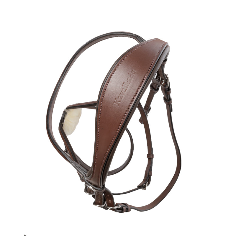 Trense "Proline-Diego" mex.