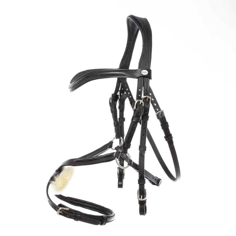 Trense "Proline-Diego" mex.