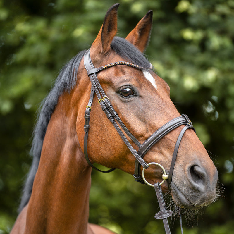 Stirnband "Splendid"