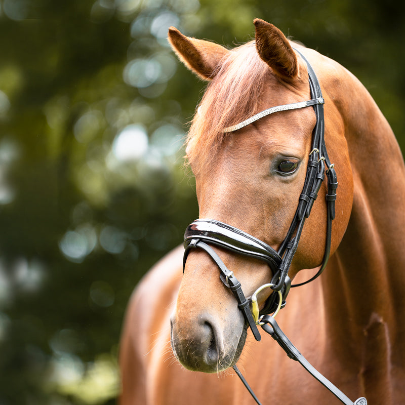 Stirnband "Princess"