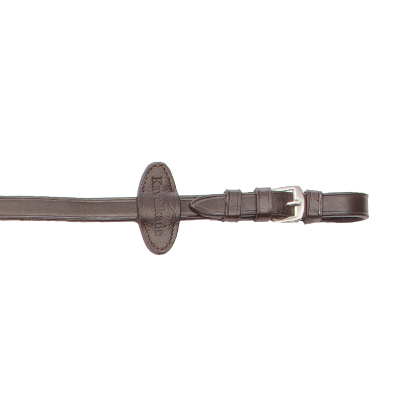 Biothanezügel mit Stegen