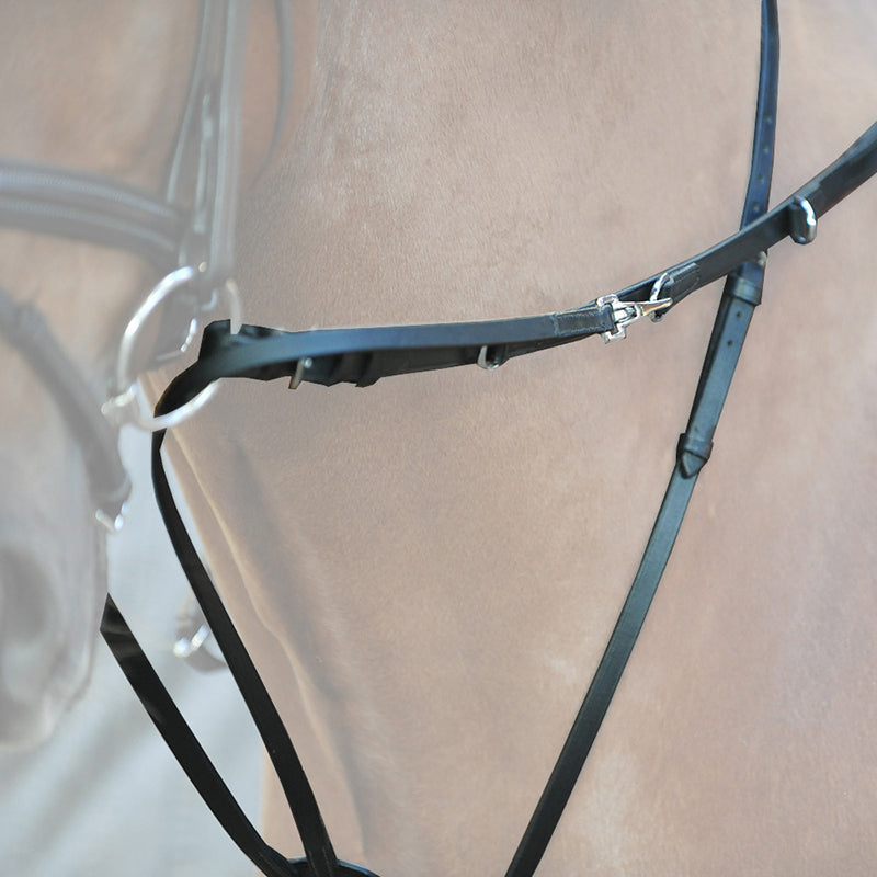 Thiedemann-/Köhler-Zügel