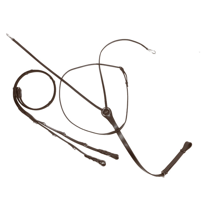 Thiedemann-/Köhler-Zügel