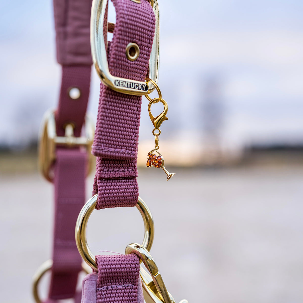 APERÖLCHEN Charm