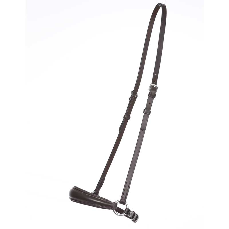 Hannoveranisches Reithalfter