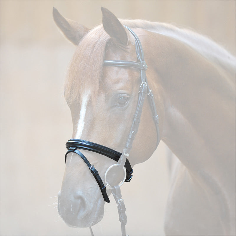 Engl.-komb. Reithalfter