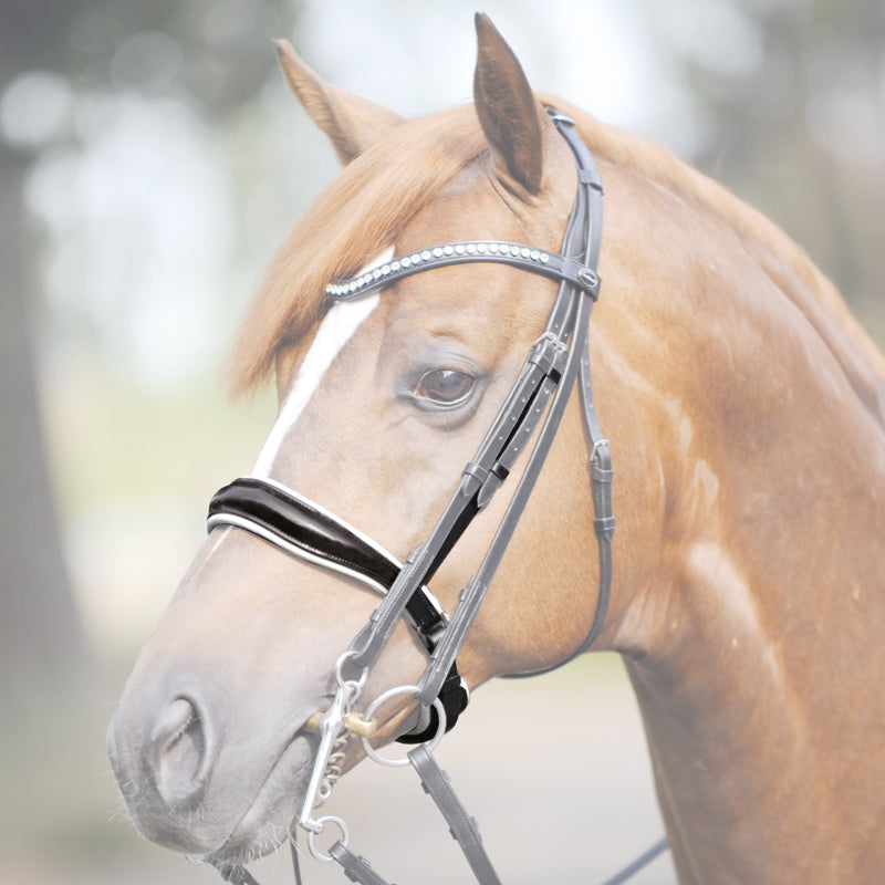 Kandare-Reithalfter "Antonia" schwed.