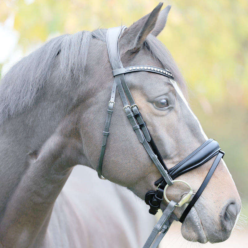 Reithalfter "Charlotte" schwed.-komb.