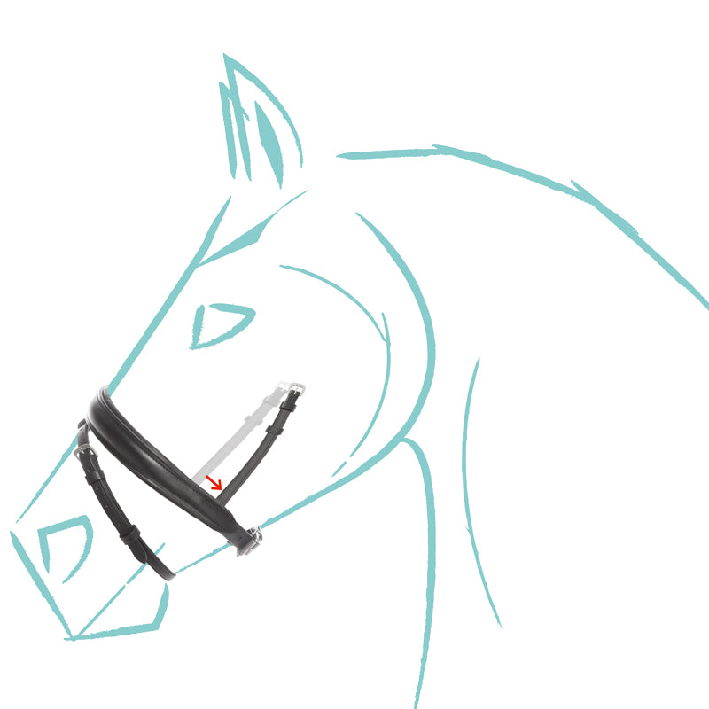 Spezialgröße Reithalfter "Cre8", engl.-komb.