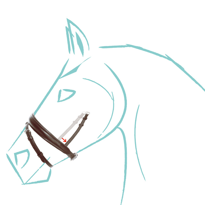 Spezialgröße Reithalfter "Cre8", engl.-komb.