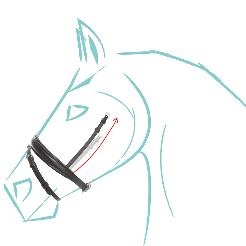 Spezialgröße Reithalfter "Cre8", engl.-komb.