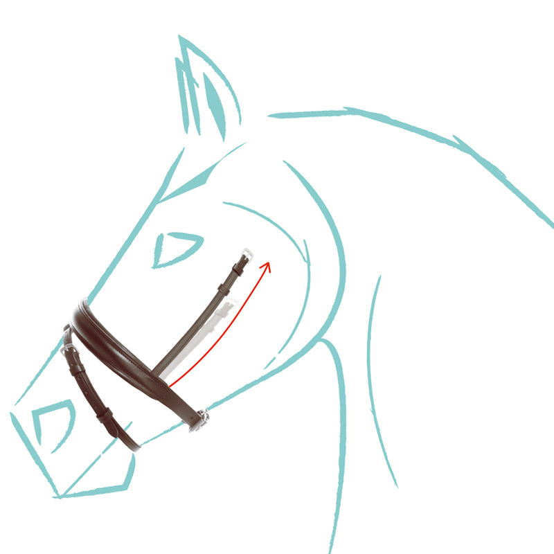 Spezialgröße Reithalfter "Cre8", engl.-komb.