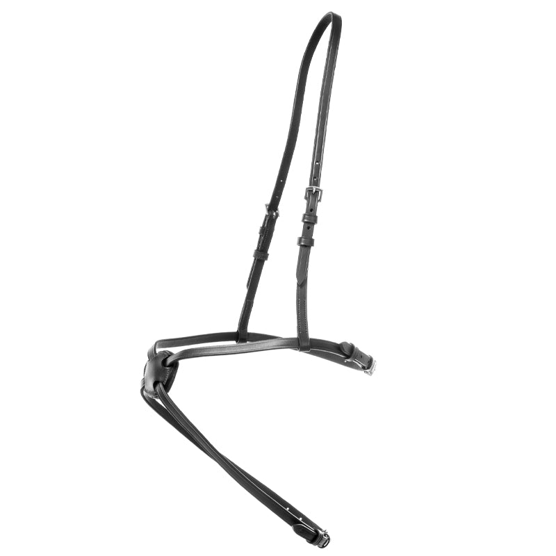 mexikanisches Reithalfter