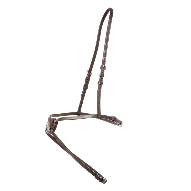 mexikanisches Reithalfter