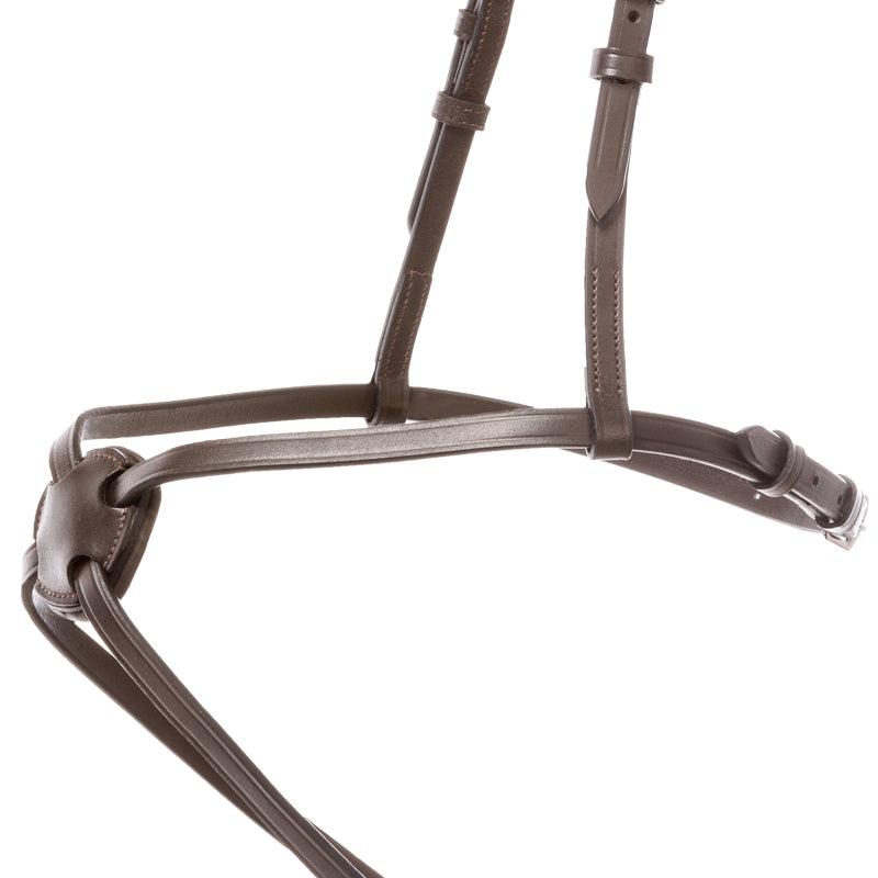 mexikanisches Reithalfter