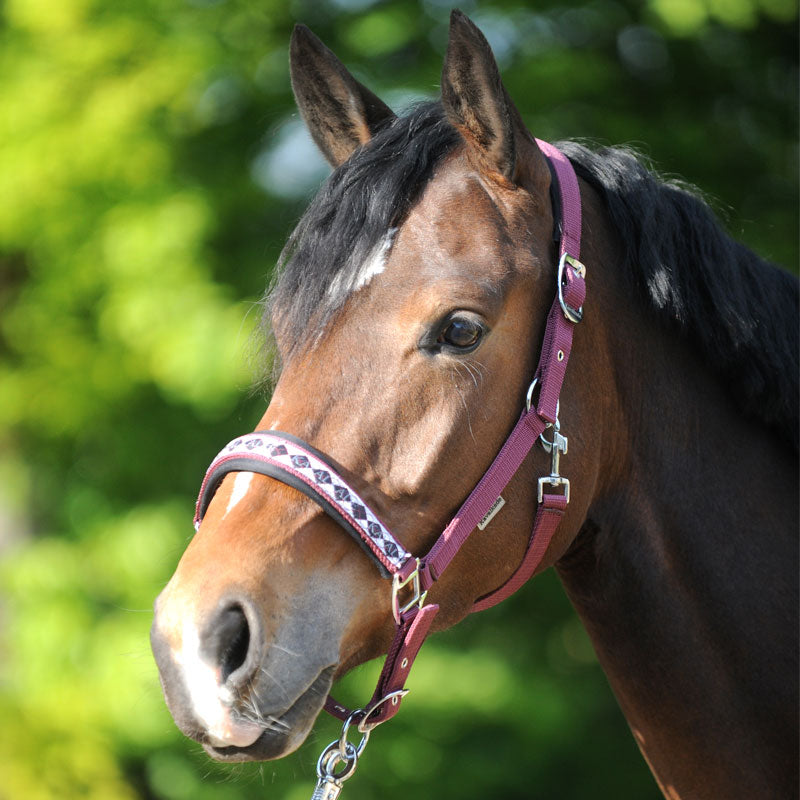 Perlon-Halfter "Classic"