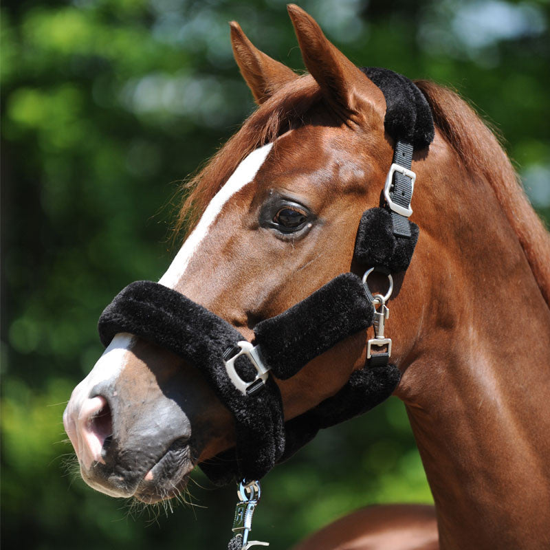 Transporthalfter mit Kunstfell