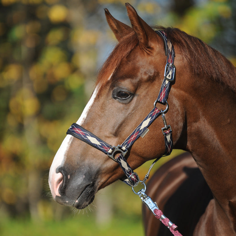 Halfter "Classic Raute"