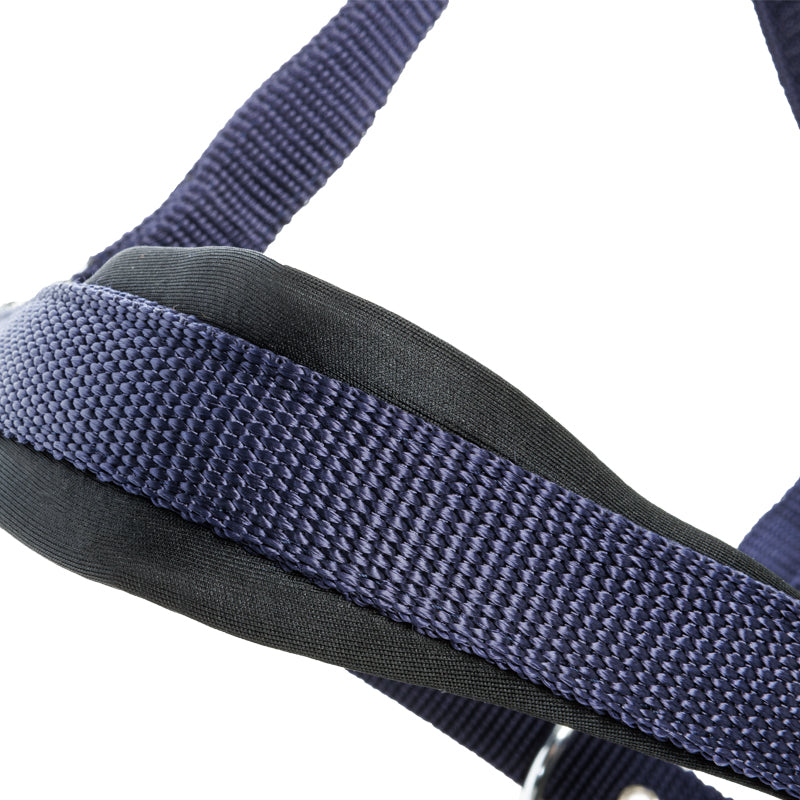 Perlon-Halfter "Classic Simple"