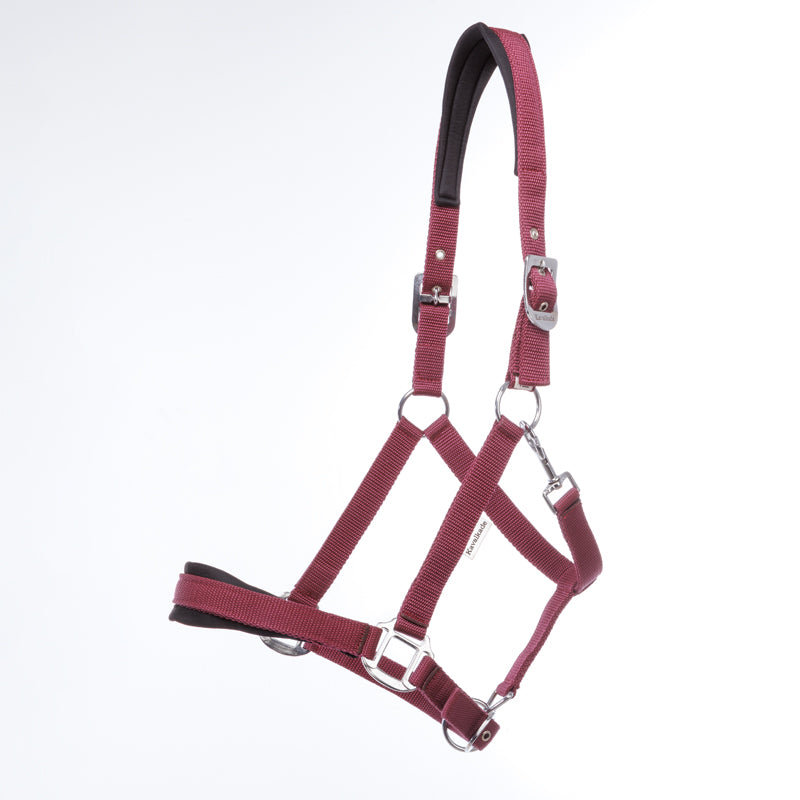 Perlon-Halfter "Classic Simple"