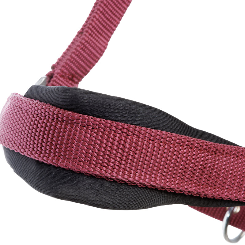 Perlon-Halfter "Classic Simple"