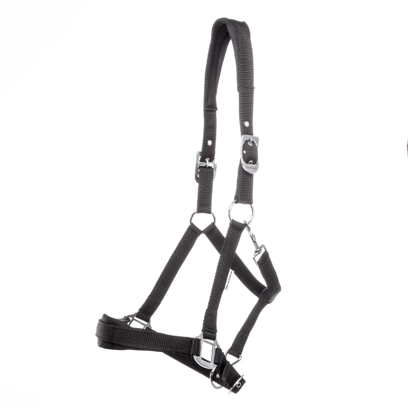 Perlon-Halfter "Classic Simple"